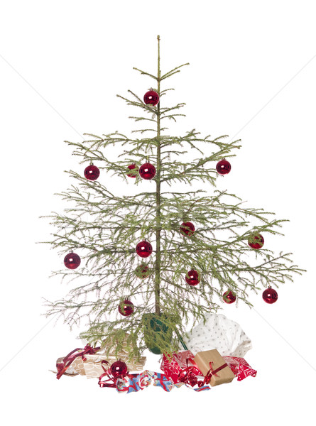 Stock photo: Christmas tree