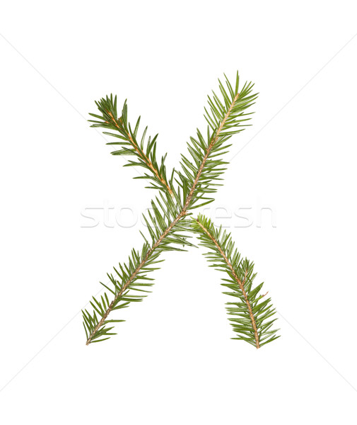 Spruce twigs forming the letter 'X' Stock photo © gemenacom