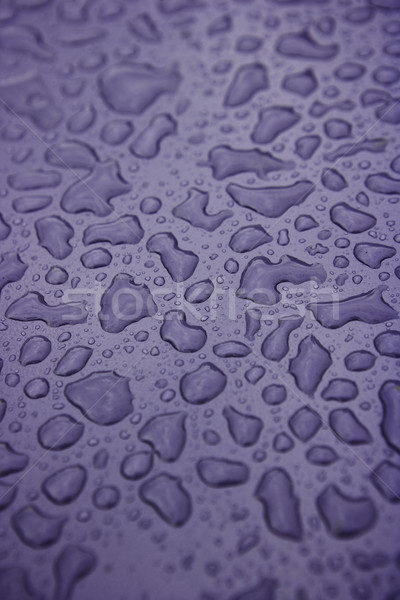Full-frame picături de apă violet apă abstract natură Imagine de stoc © gemenacom