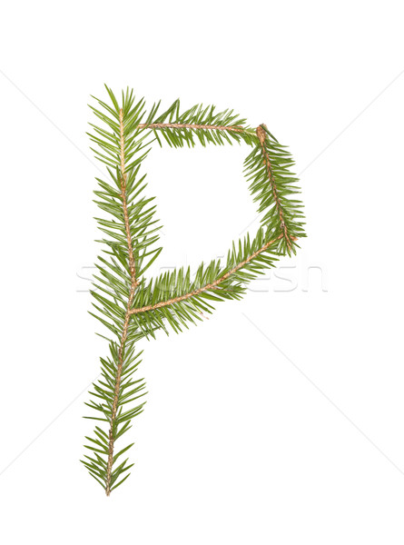 Spruce twigs forming the letter 'P' Stock photo © gemenacom