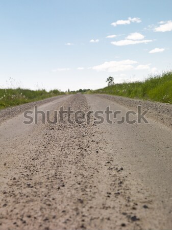 未舗装の道路 夏 花 風景 フィールド 緑 ストックフォト © gemenacom