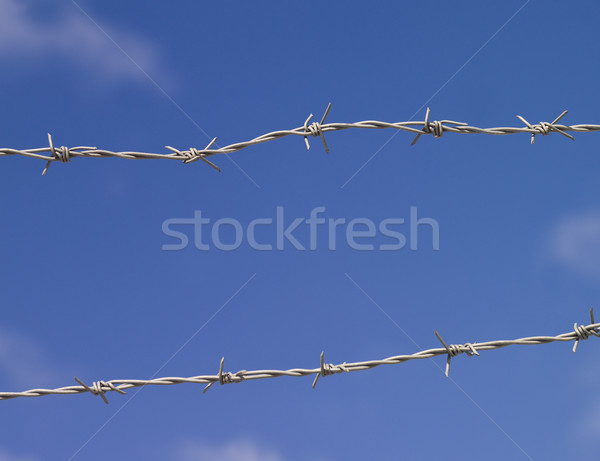 Barbed wire Stock photo © gemenacom