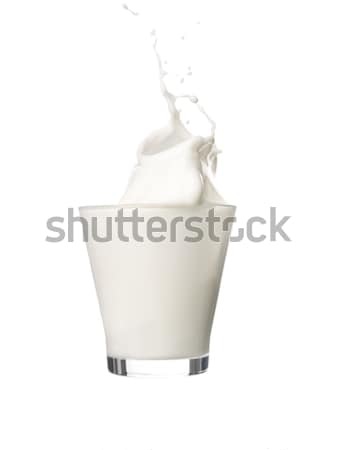 Splashing milk Stock photo © gemenacom