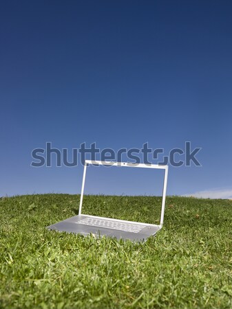 Laptop odkryty zielone dziedzinie Błękitne niebo działalności Zdjęcia stock © gemenacom