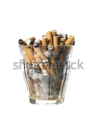 Verre chien fumée cigarette studio produit Photo stock © gemenacom