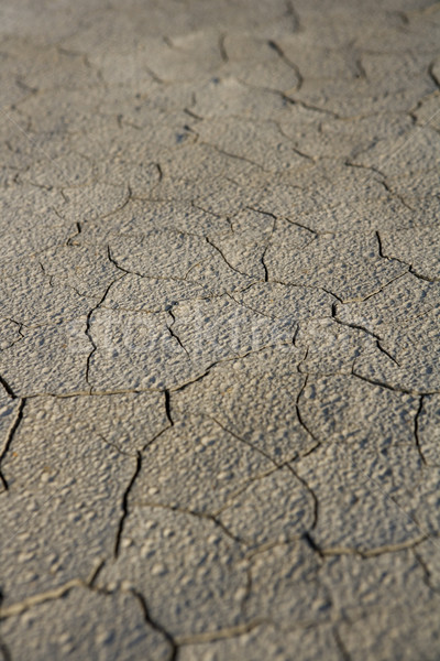 破獲 地面 全畫幅 性質 沙漠 模式 商業照片 © gemenacom