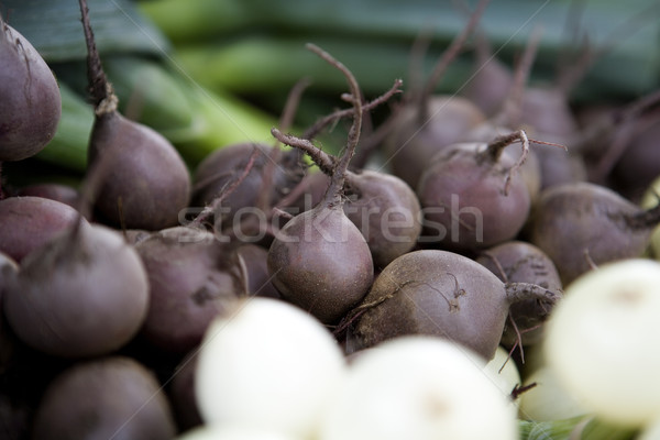 Root Beats Stock photo © gemenacom