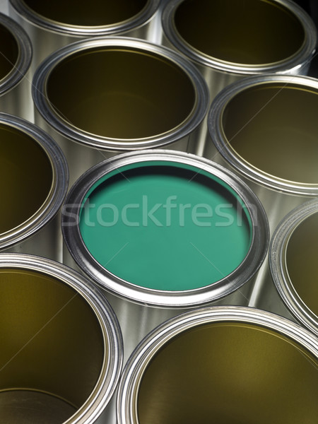 Green Paint can Stock photo © gemenacom