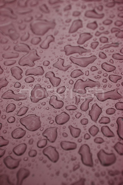 Full Frame of Water Drops on red background Stock photo © gemenacom