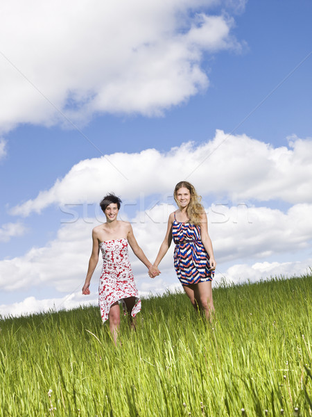 商业照片: 两个女人 · 手牵著手 ·场· 女孩 · 春天 · 快乐