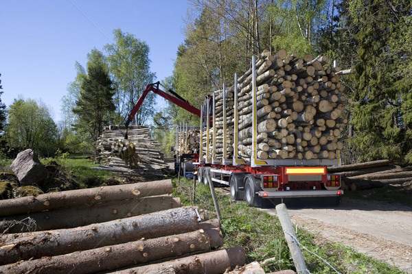 Loading Timber Stock photo © gemenacom