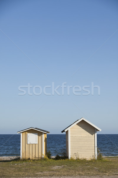 Twee kustlijn strand zee verf zomer Stockfoto © gemenacom