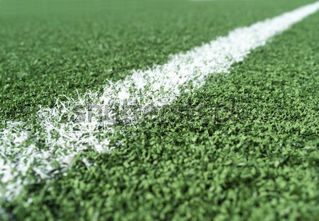 Boisko do piłki nożnej szczegół trawy piłka nożna dziedzinie roślin Zdjęcia stock © gemenacom