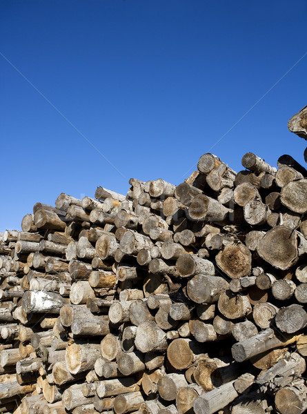 Timber Stock photo © gemenacom