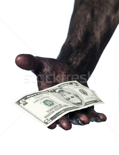 Dirty hand holding a five dollar bank note Stock photo © gemenacom