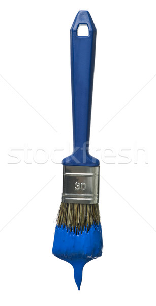 Blue Paintbrush Stock photo © gemenacom