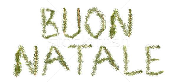 Spruce twigs forming the phrase 'BUON NATALE' Stock photo © gemenacom
