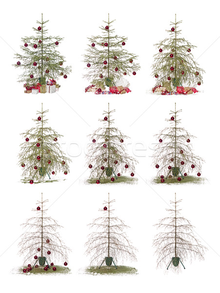 Сток-фото: время · рождественская · елка · изолированный · белый · дерево · подарок