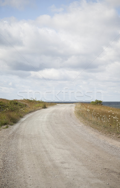 Onverharde weg zee weg eiland stof lege Stockfoto © gemenacom