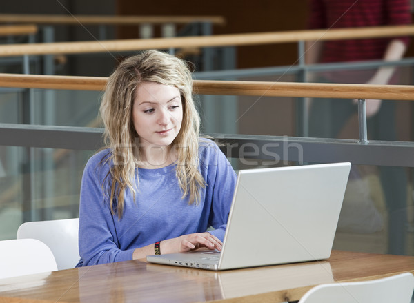 Girl with a computer Stock photo © gemenacom
