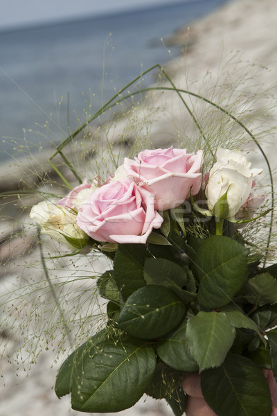 Bouquet of pink and white roses Stock photo © gemenacom