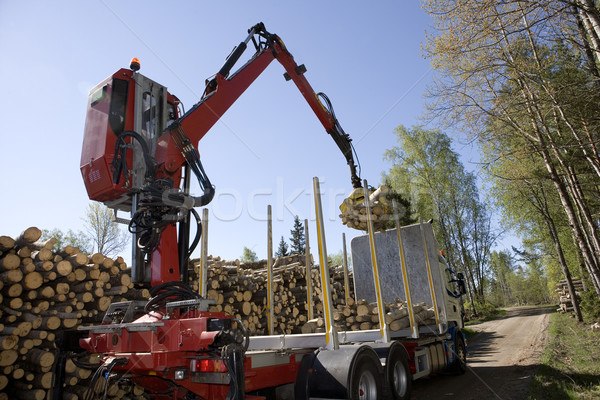 Kereste orman ağaç yol ahşap doğa Stok fotoğraf © gemenacom