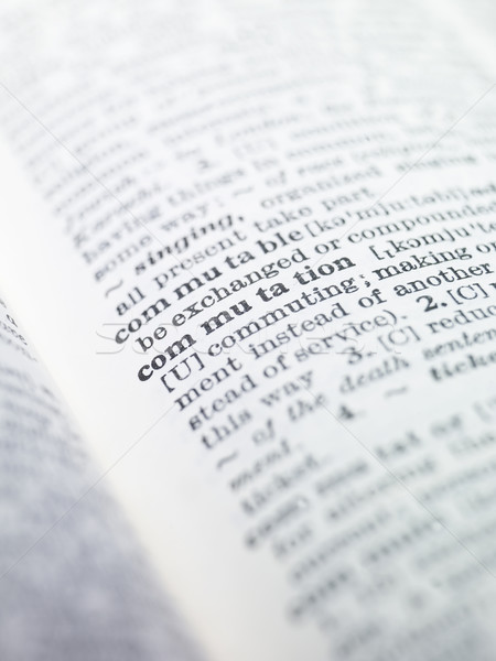 Parola dizionario carta libro stampa macro Foto d'archivio © gemenacom