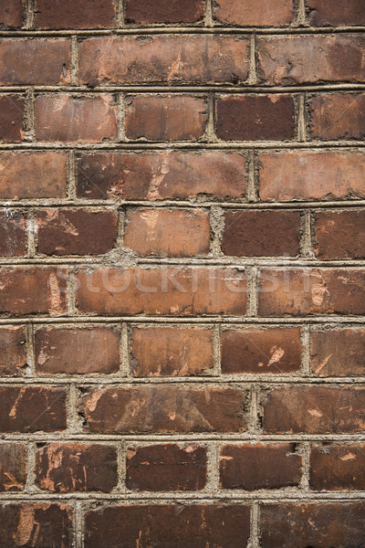 Brickwall Stock photo © gemenacom