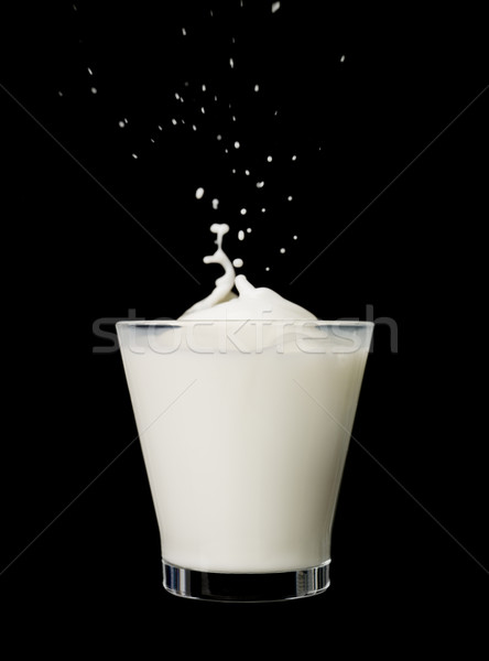 Splashing milk Stock photo © gemenacom