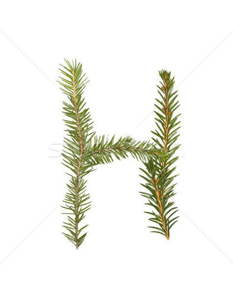 Spruce twigs forming the letter 'H' Stock photo © gemenacom