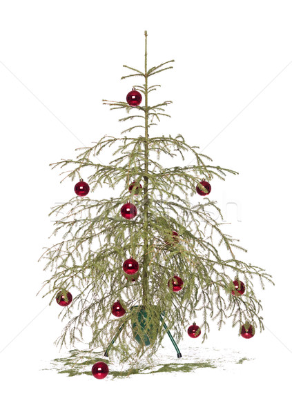 Stok fotoğraf: Noel · ağacı · yarım · ölü · yalıtılmış · beyaz · ağaç