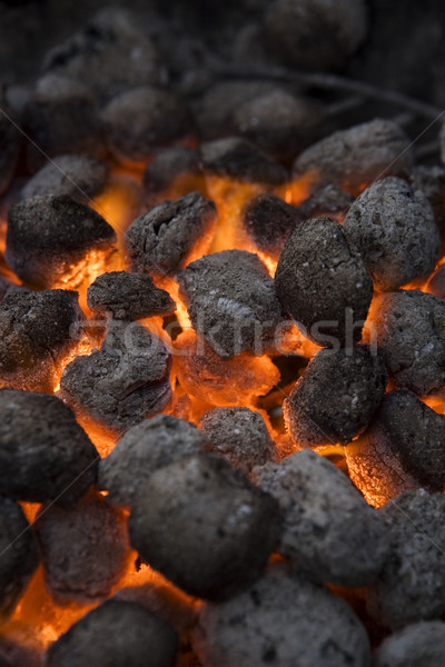 Barbecue Coal Stock photo © gemenacom