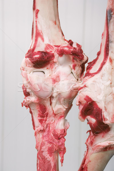Et ölü hayvan fabrika yemek Stok fotoğraf © gemenacom