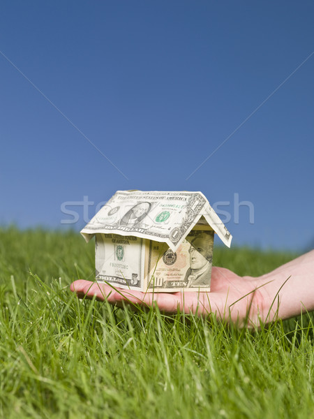 Uomo dollaro casa fuori verde Foto d'archivio © gemenacom