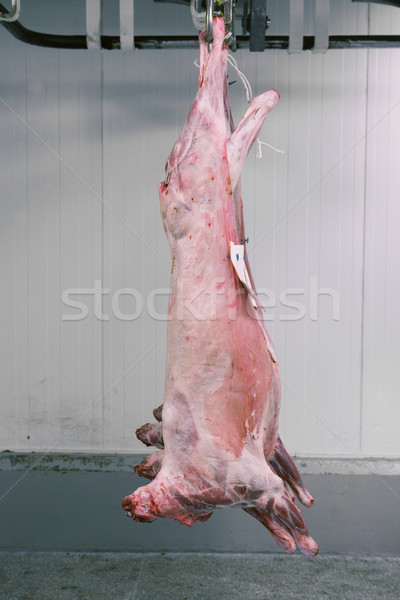 Hanging meat Stock photo © gemenacom