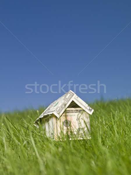 Miniatura casa fuori erba verde Foto d'archivio © gemenacom