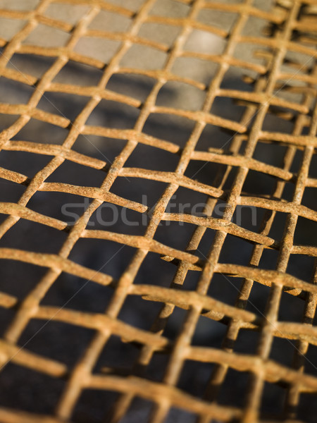 Rozsdás fém net közelkép textúra minta Stock fotó © gemenacom