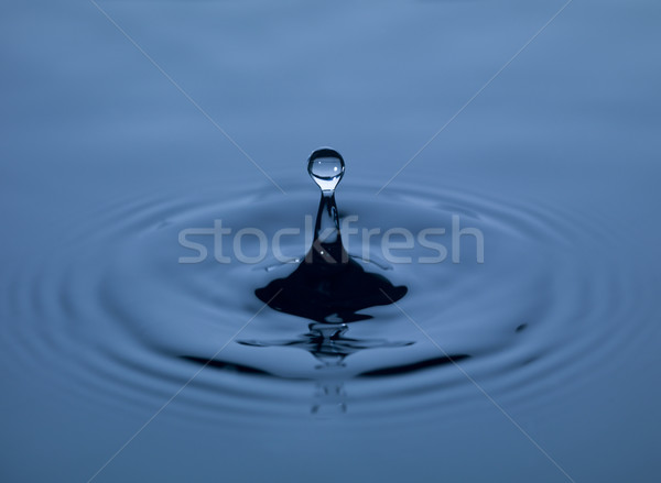 Su damlası damla mavi su siyah Stok fotoğraf © gemenacom