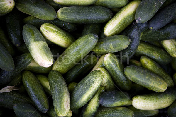 Ogórki full frame zielone rolnictwa warzyw ogórek Zdjęcia stock © gemenacom