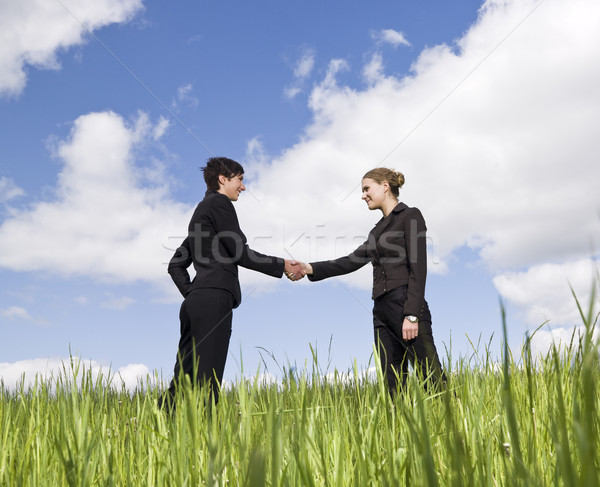 Two women standing in the grass shaking hands Stock photo © gemenacom
