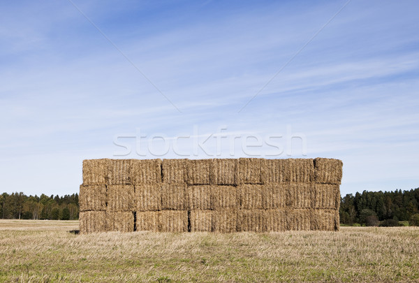 Balot claie de fan cer alimente iarbă Imagine de stoc © gemenacom