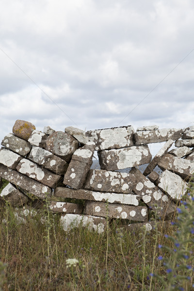 Stone wall in nature Stock photo © gemenacom