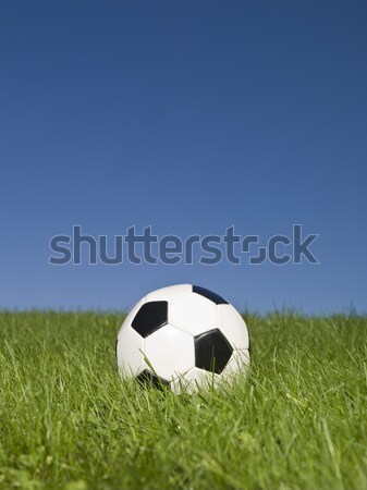 Czarno białe piłka nożna zielona trawa trawy piłka nożna sportu Zdjęcia stock © gemenacom