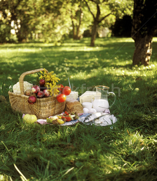 Picnic pâine peşte legume cos de picnic alimente Imagine de stoc © gemenacom