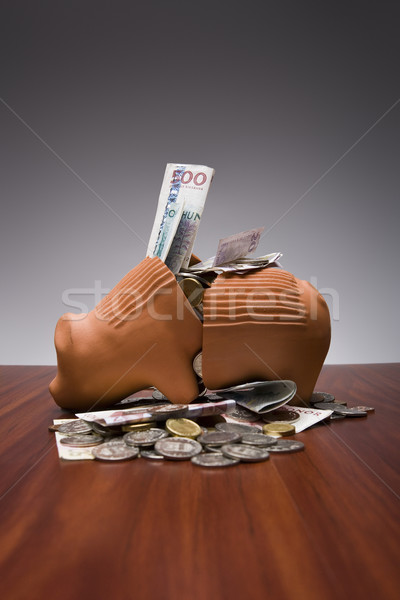Broken Piggy Bank Stock photo © gemenacom