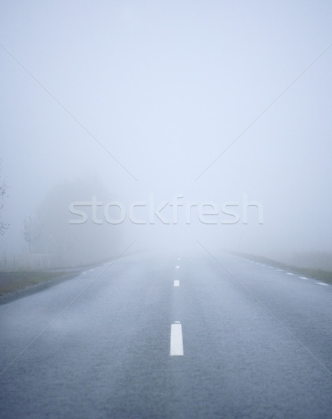 Foto stock: Niebla · carretera · manana · camión · invierno · otono