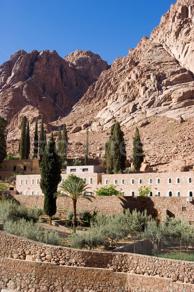 Mount Sinai 3 Stock photo © georgemuresan
