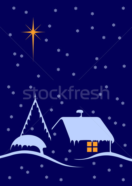 Christmas nacht groot star sneeuw Stockfoto © georgemuresan