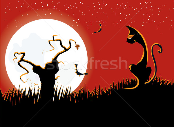 Halloween kat vector maan licht Stockfoto © GeraKTV