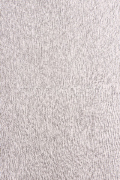 Grained white light background Stock photo © Geribody